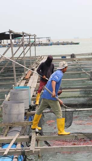 fishfarm