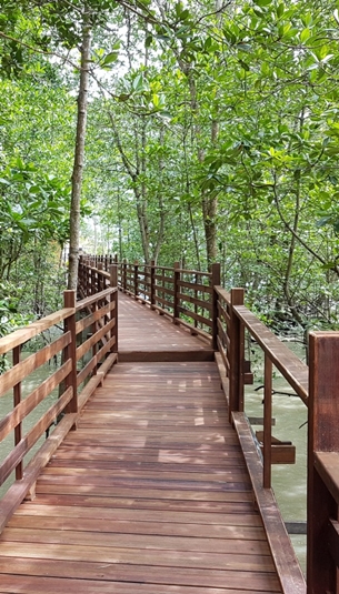 pulau kukup